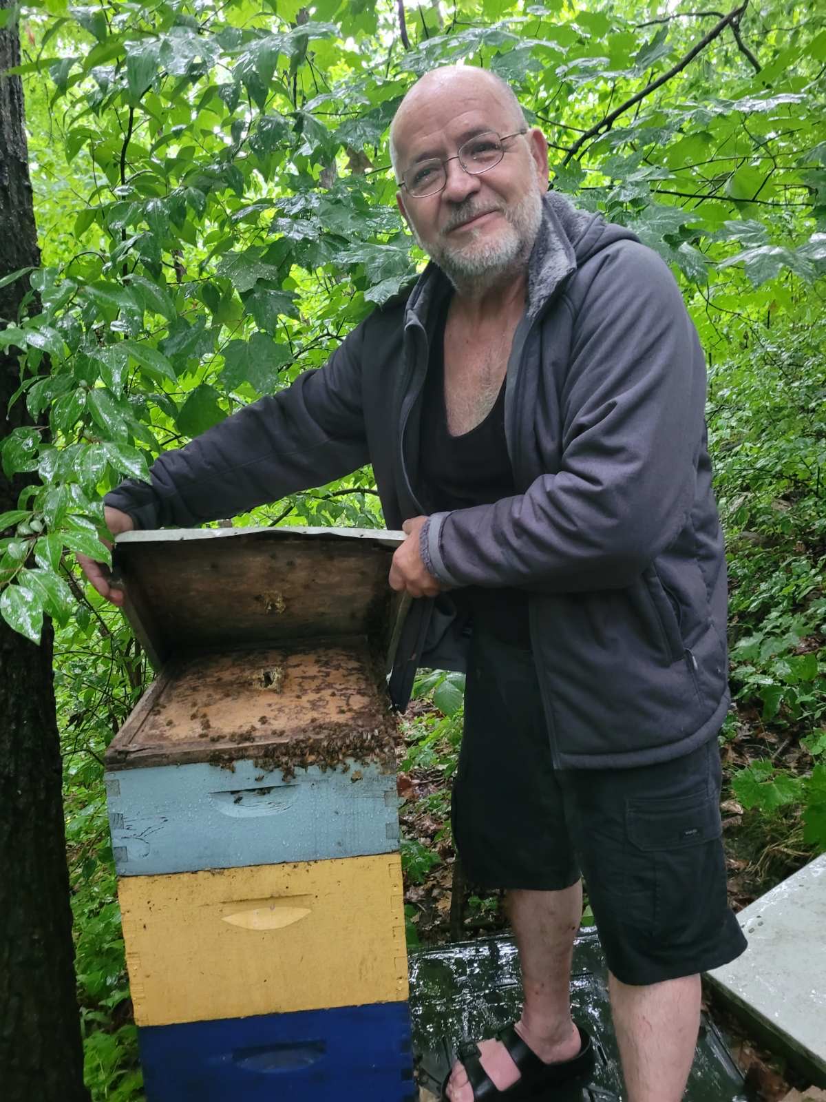 Viktor Domnenko at his apiary